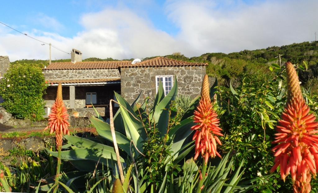 Casa Do Bernardo Villa Feiteira Bagian luar foto